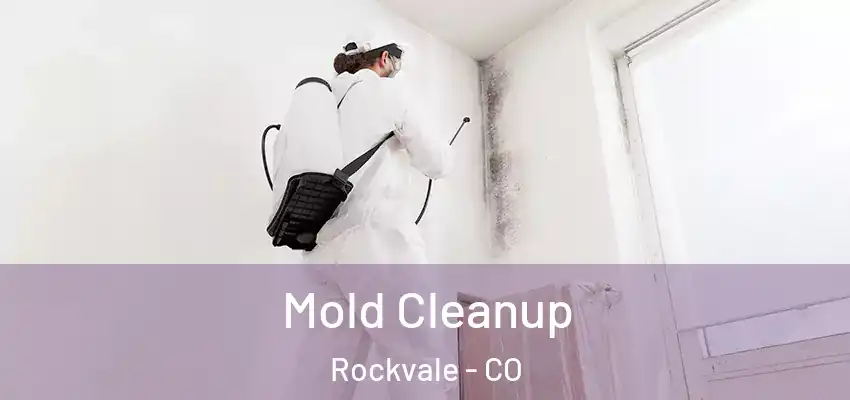Mold Cleanup Rockvale - CO