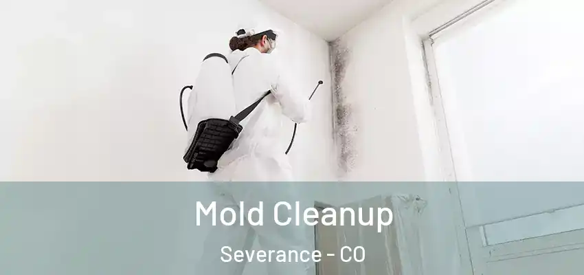 Mold Cleanup Severance - CO