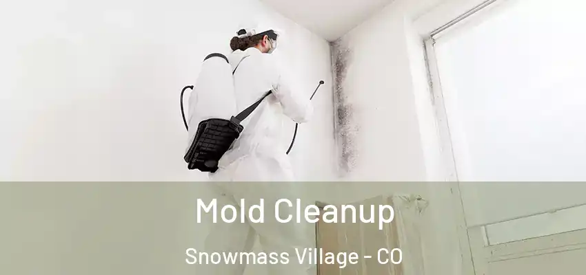  Mold Cleanup Snowmass Village - CO