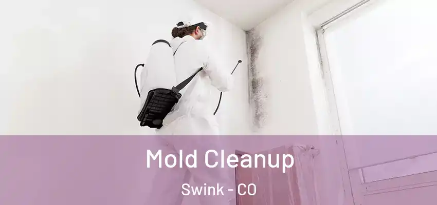 Mold Cleanup Swink - CO