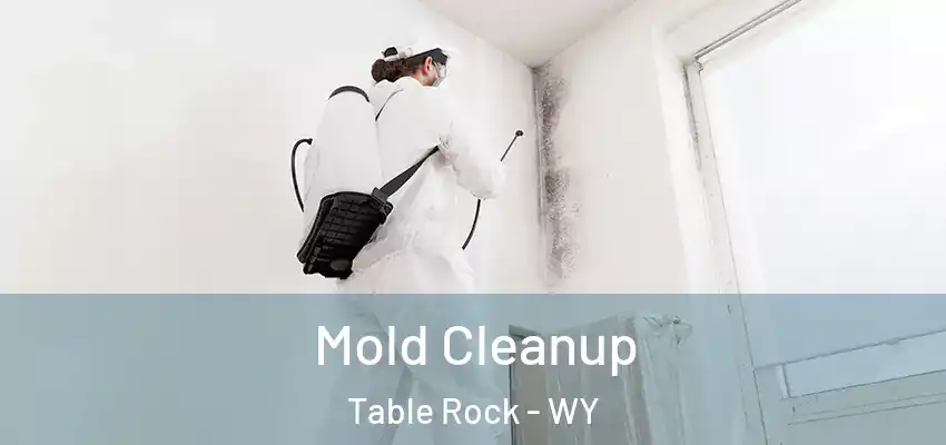 Mold Cleanup Table Rock - WY