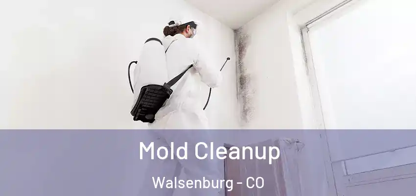 Mold Cleanup Walsenburg - CO