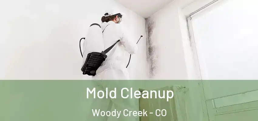  Mold Cleanup Woody Creek - CO