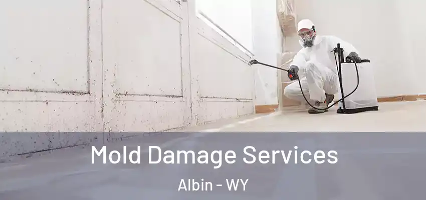  Mold Damage Services Albin - WY