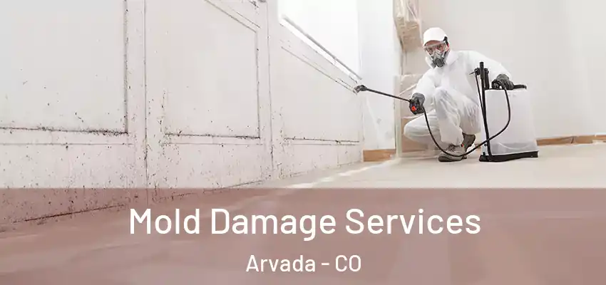  Mold Damage Services Arvada - CO