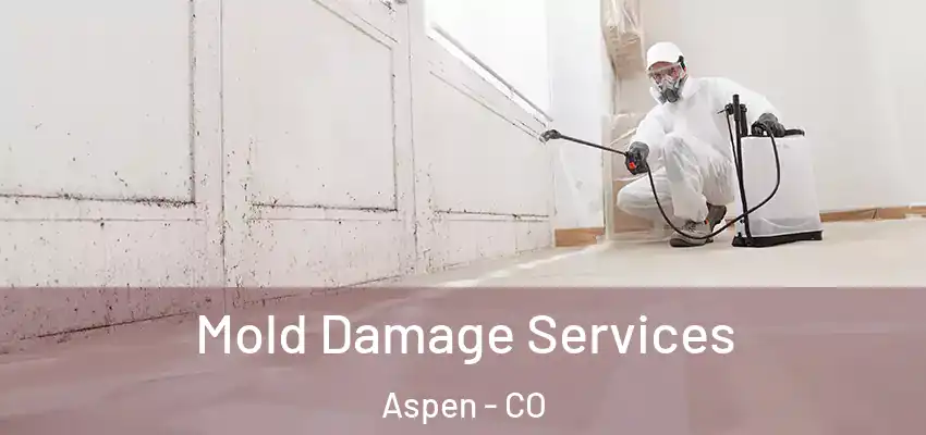  Mold Damage Services Aspen - CO