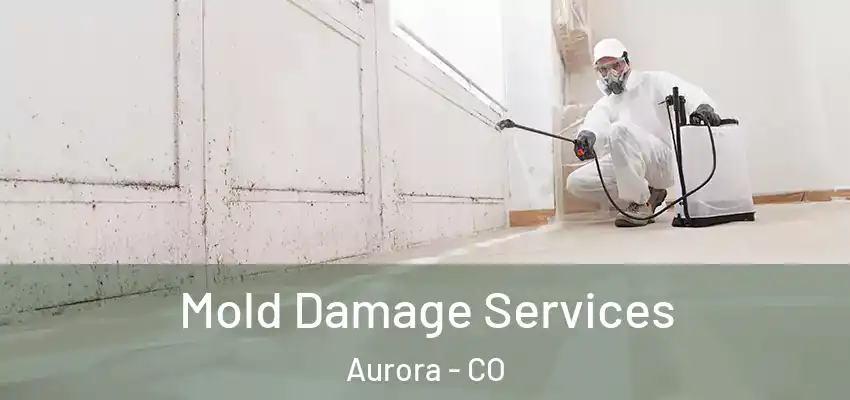  Mold Damage Services Aurora - CO