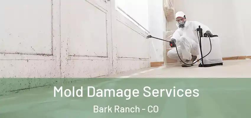  Mold Damage Services Bark Ranch - CO