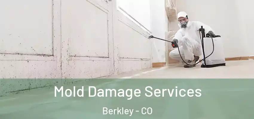  Mold Damage Services Berkley - CO