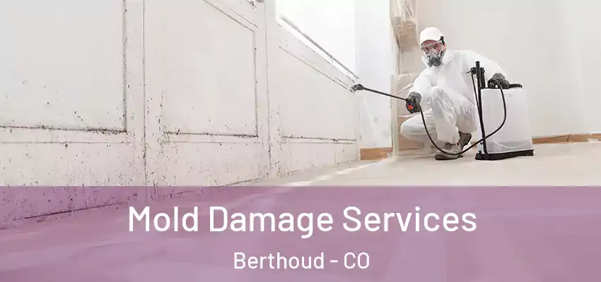  Mold Damage Services Berthoud - CO