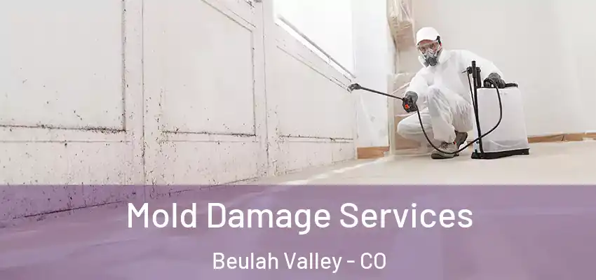  Mold Damage Services Beulah Valley - CO
