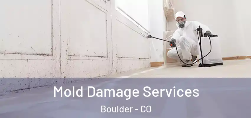  Mold Damage Services Boulder - CO