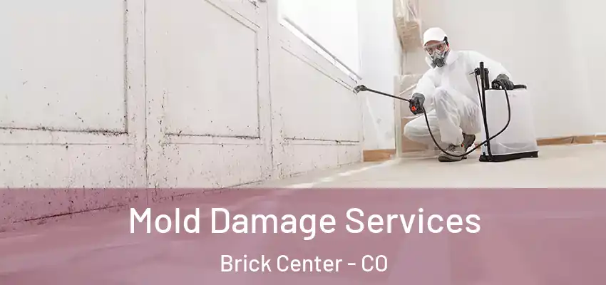  Mold Damage Services Brick Center - CO