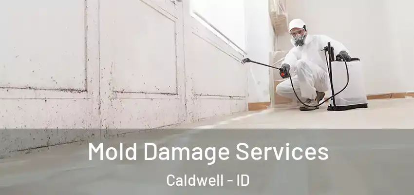  Mold Damage Services Caldwell - ID