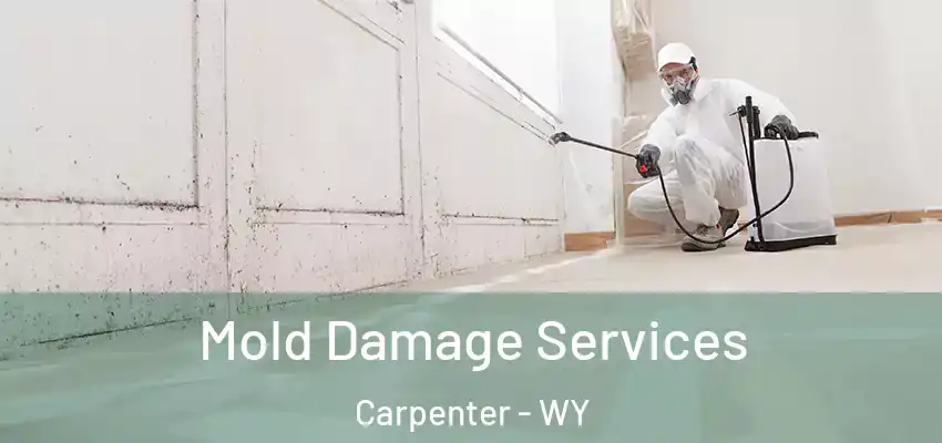 Mold Damage Services Carpenter - WY