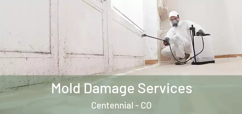  Mold Damage Services Centennial - CO