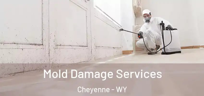 Mold Damage Services Cheyenne - WY