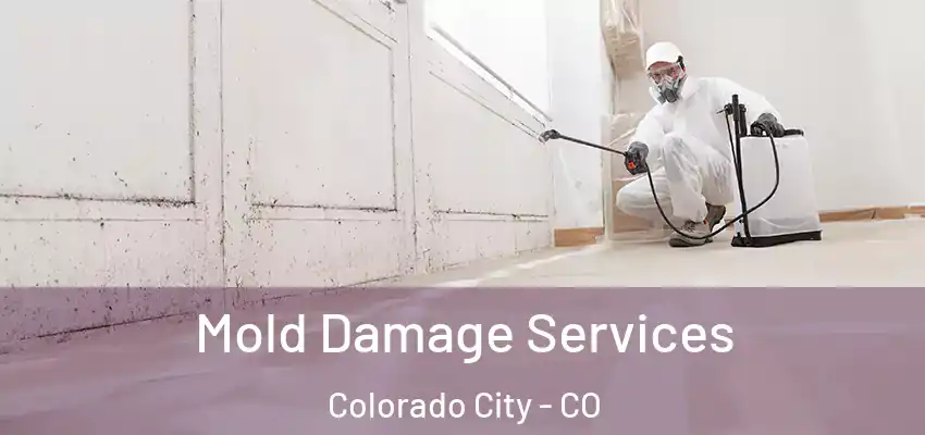  Mold Damage Services Colorado City - CO