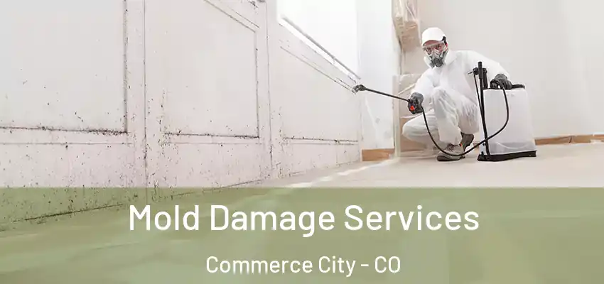  Mold Damage Services Commerce City - CO