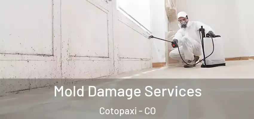 Mold Damage Services Cotopaxi - CO