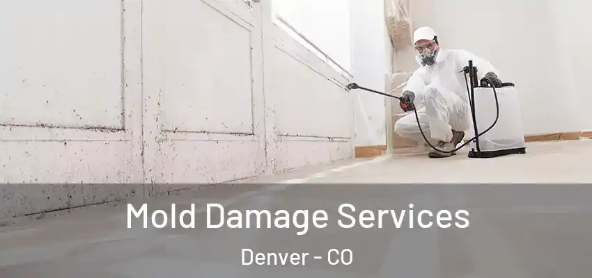Mold Damage Services Denver - CO