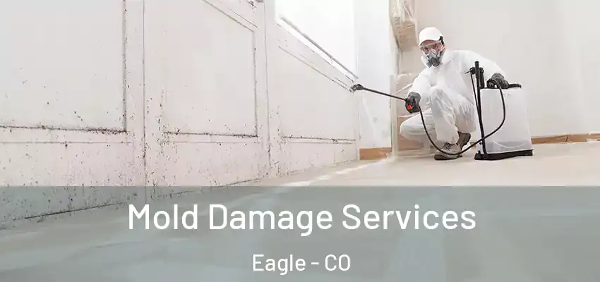 Mold Damage Services Eagle - CO