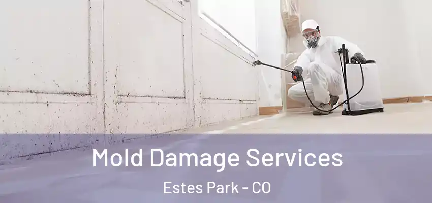 Mold Damage Services Estes Park - CO