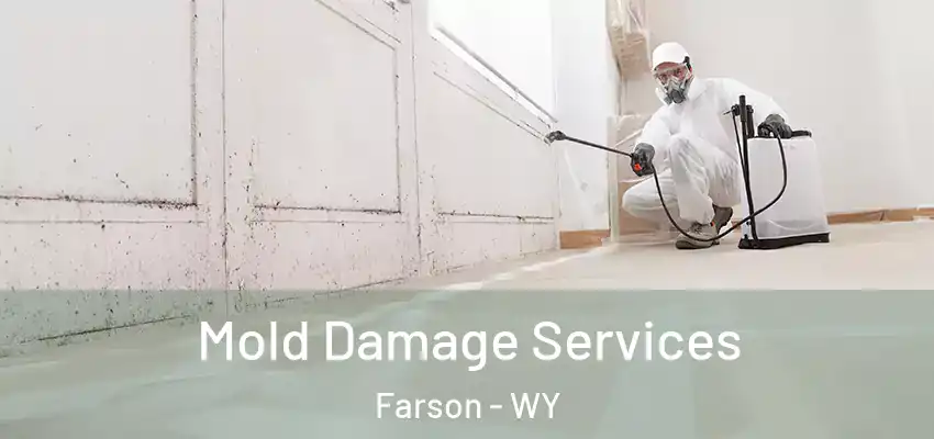 Mold Damage Services Farson - WY