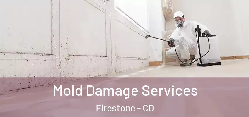 Mold Damage Services Firestone - CO