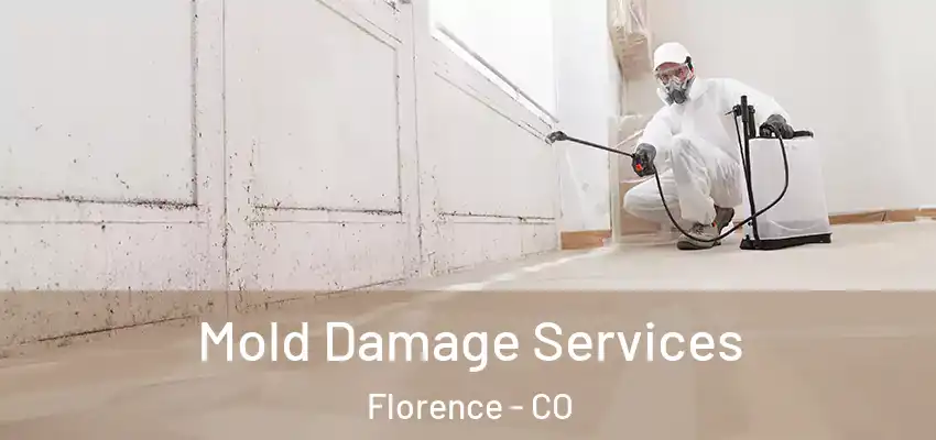 Mold Damage Services Florence - CO