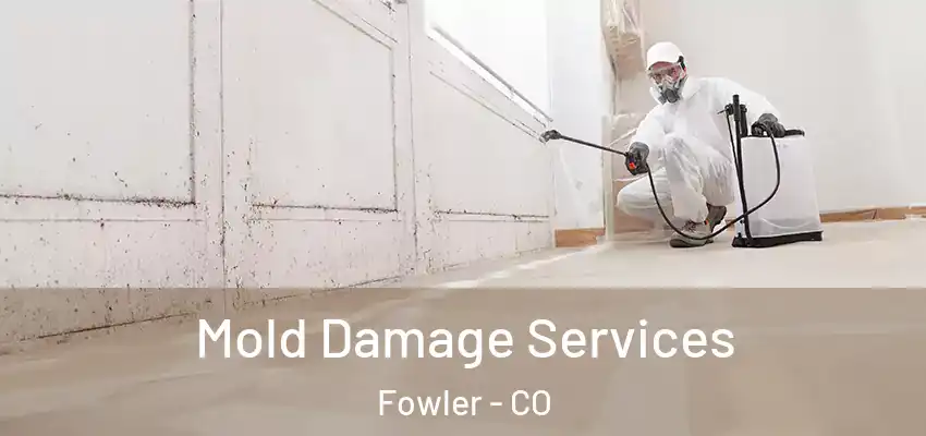 Mold Damage Services Fowler - CO