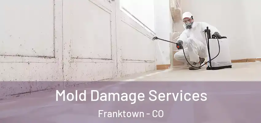 Mold Damage Services Franktown - CO