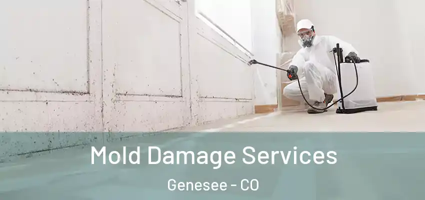 Mold Damage Services Genesee - CO