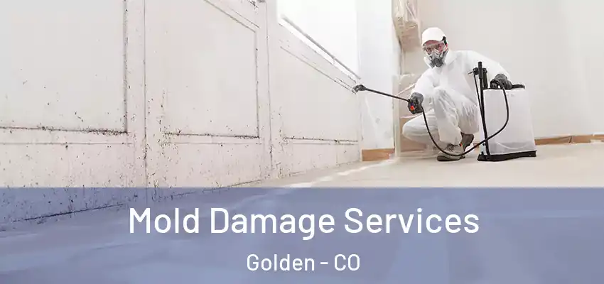 Mold Damage Services Golden - CO