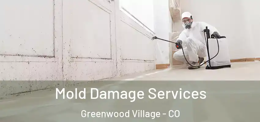 Mold Damage Services Greenwood Village - CO