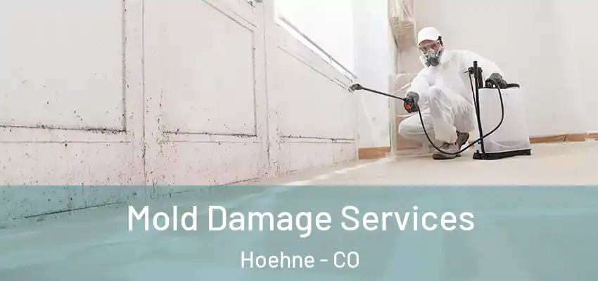 Mold Damage Services Hoehne - CO