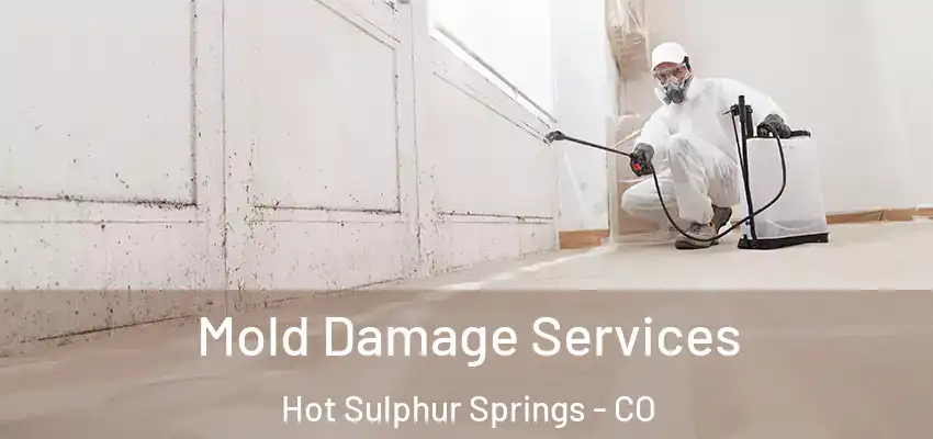  Mold Damage Services Hot Sulphur Springs - CO