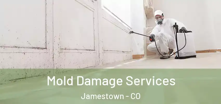 Mold Damage Services Jamestown - CO