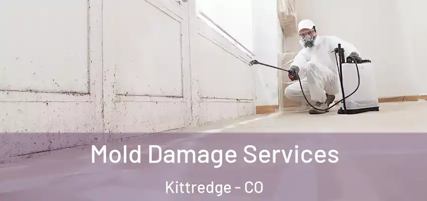Mold Damage Services Kittredge - CO