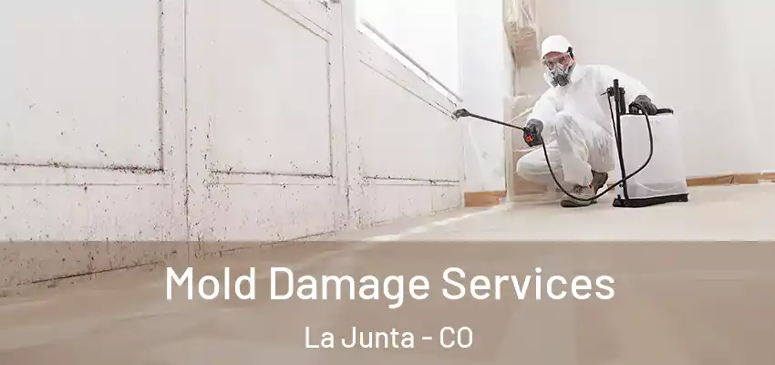 Mold Damage Services La Junta - CO