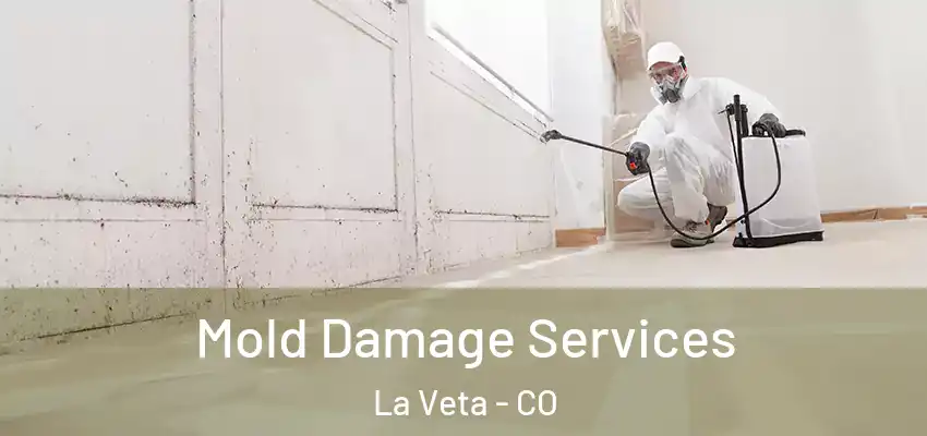 Mold Damage Services La Veta - CO
