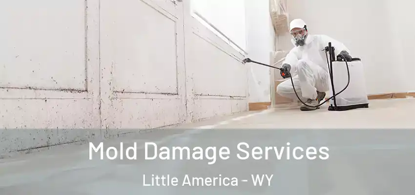  Mold Damage Services Little America - WY