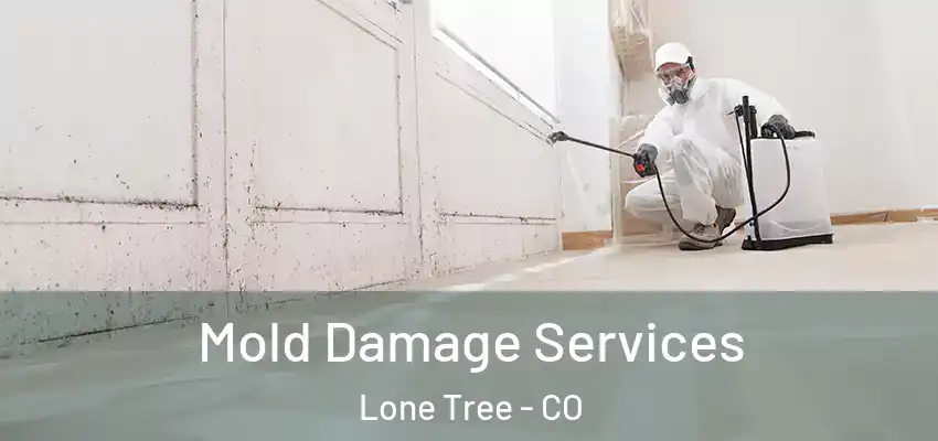  Mold Damage Services Lone Tree - CO