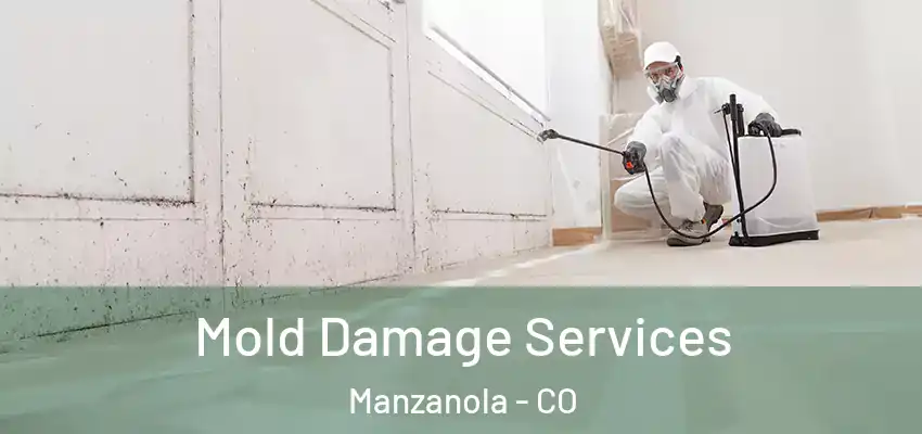  Mold Damage Services Manzanola - CO