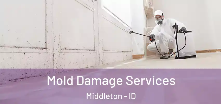  Mold Damage Services Middleton - ID