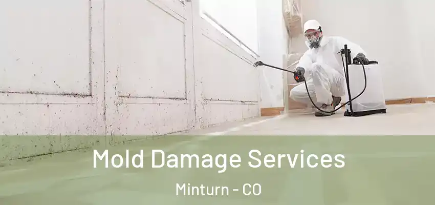 Mold Damage Services Minturn - CO