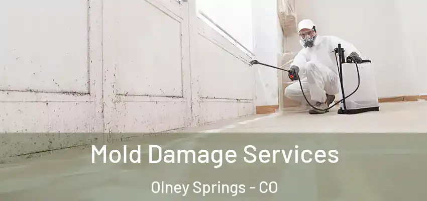  Mold Damage Services Olney Springs - CO