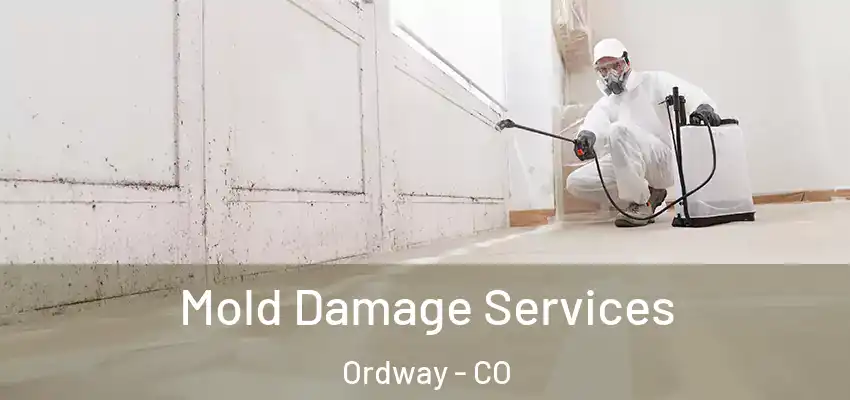 Mold Damage Services Ordway - CO