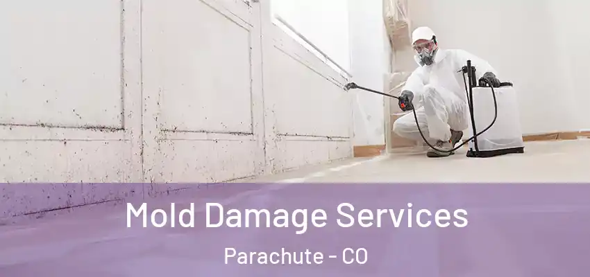 Mold Damage Services Parachute - CO