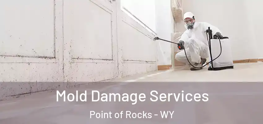  Mold Damage Services Point of Rocks - WY